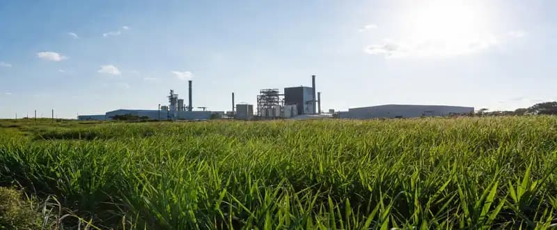 Sustainability and Eco-Friendliness of Ethanol