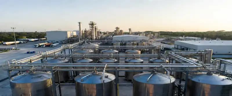 Extensive Demand for Oleochemical