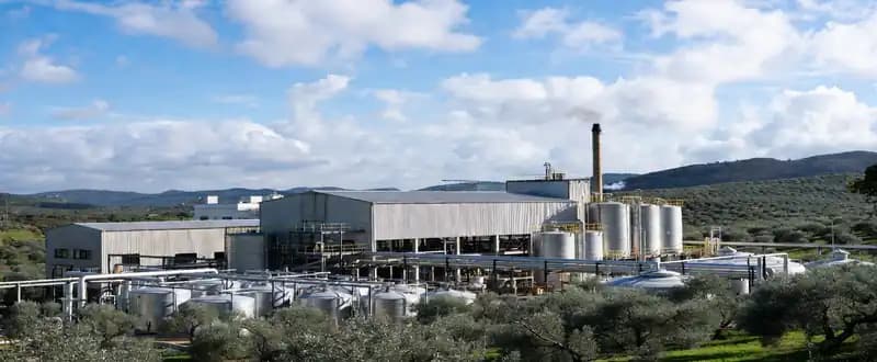 The Growing Awareness of Health Benefits is Increasing the Demand for Olive Oil in the Global Market