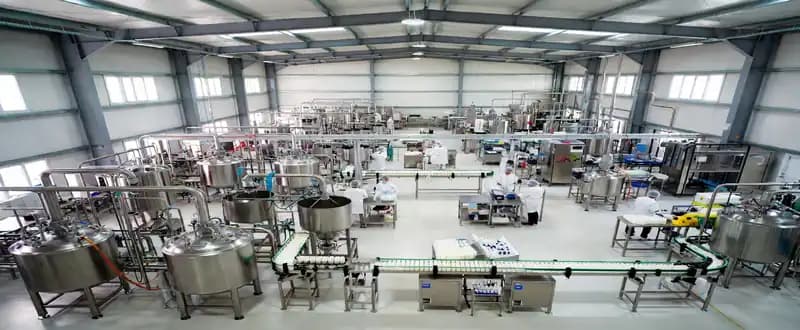 Distinct Properties and Versatility of Carbomer Increases