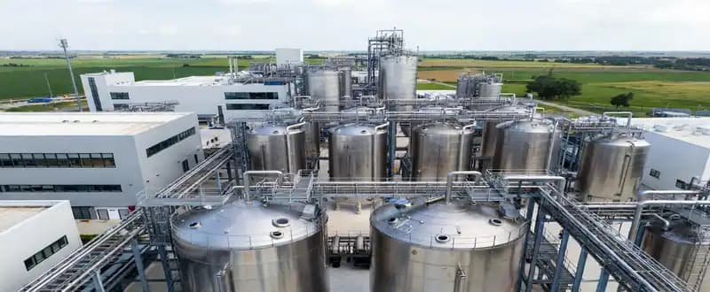 Threonine Sources, Benefits, and Global Market