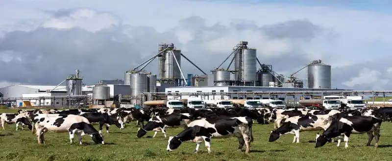 Overview of Lactose