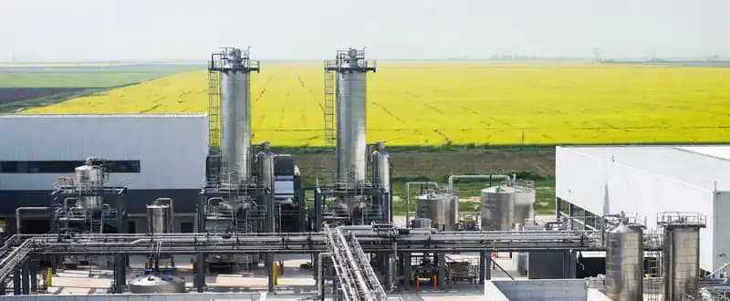 Extensive Use of Hexane Solvent in Producing Edible Oils is Propelling the Market