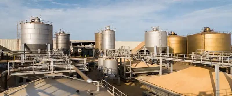Uses of Bleaching Earth and Its Market Size