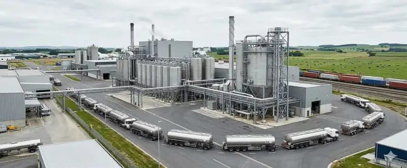 Global Whole Milk Powder Market Overview and Industrial Developments