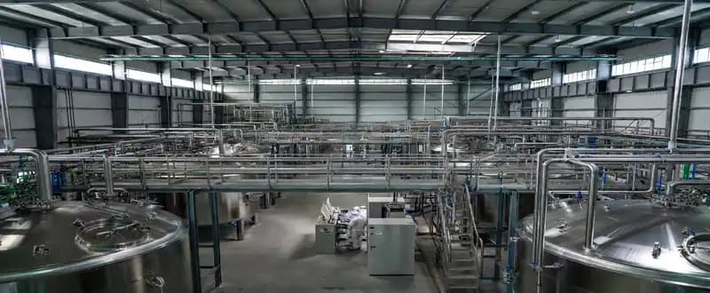Increasing Consumer Awareness About the Importance of Valine