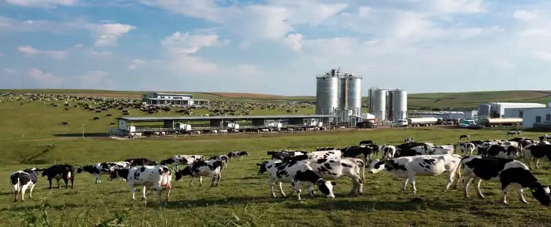 Global Milk Industry