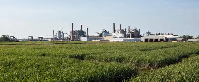 Global Sugar Industry