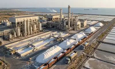 PVD Salt Market Tightens as Tata Chemicals Mithapur Facility Runs at 92% Utilisation
