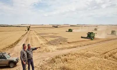 Wheat Market Reverses From Week 24 to Week 25 as Exporter Stock Views Tighten and Australia Crop Risks Return