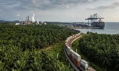 Palm Oil Procurement Tracks Production and Middle East Freight Risk