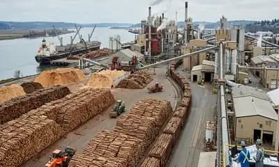Paper Buyers Track Packaging Growth and Raw Material Costs