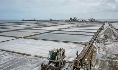 Salt procurement faces tighter flexibility after yearly output decline