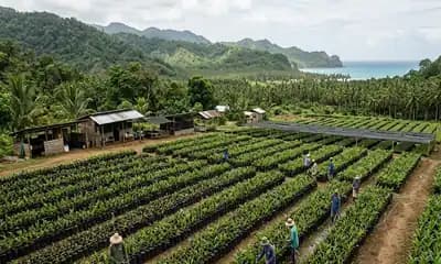 News & Articles