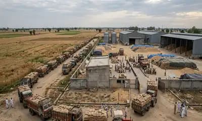 Wheat Buyers Face Weather and Black Sea Supply Risks