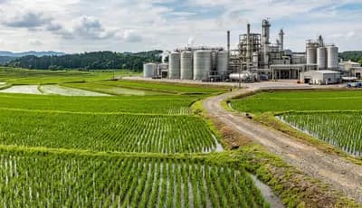 Rice Demand Could Rise as Ethanol Producers Seek More Feedstock