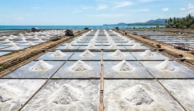 Sodium Chloride Supply Improves as Dry Weather Boosts Indonesian Salt Output