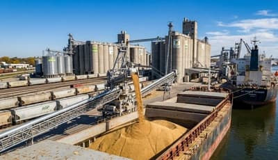 China Buys 26.2 Million Bushels of United States Soybeans as New Crop Marketing Year Opens