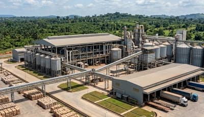 Cocoa Buyers Track Higher Processing Capacity in Côte d’Ivoire