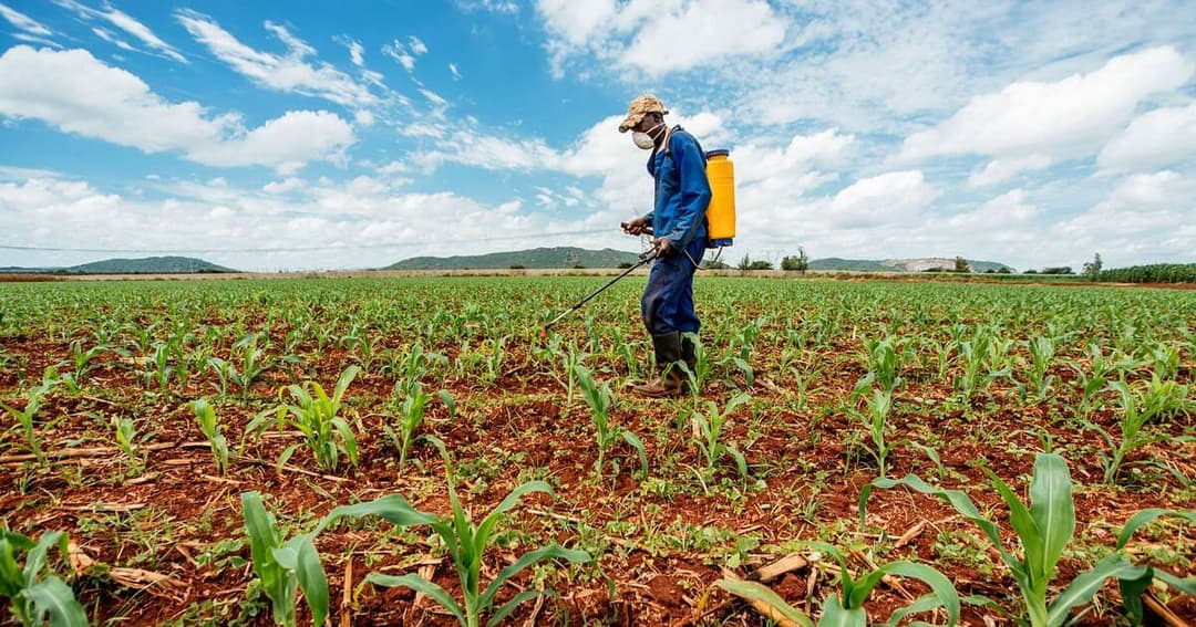 A Boon or a Bane: What do India’s New Farm Laws Mean for the Indian Agricultural Industry?
